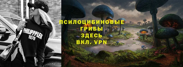 таблы Верея